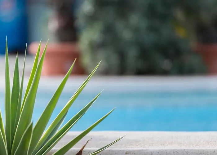 Sunflower Отель